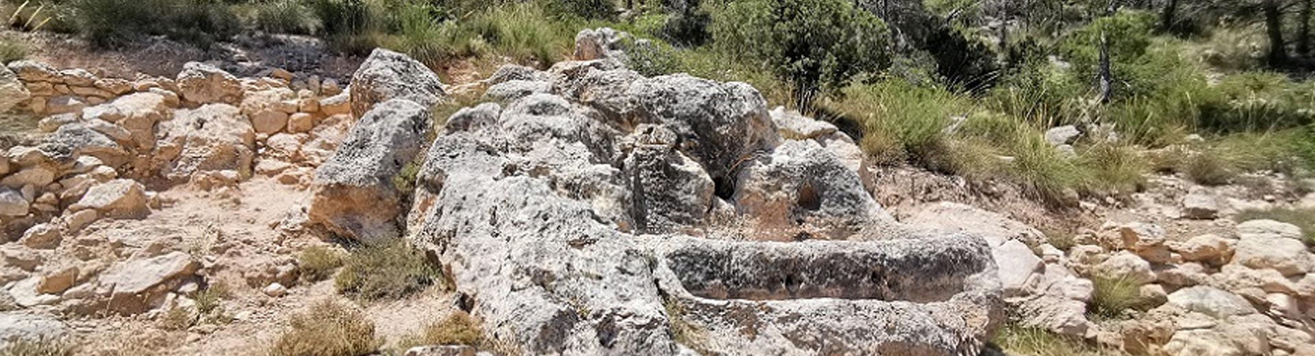 La Solana de las Pilillas en Requena